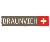 Braunvieh